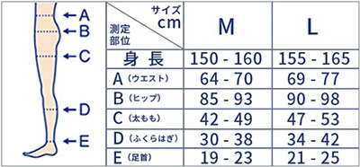 メディキュットのサイズ表 M,L